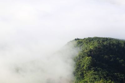 Scenic view of fog against sky