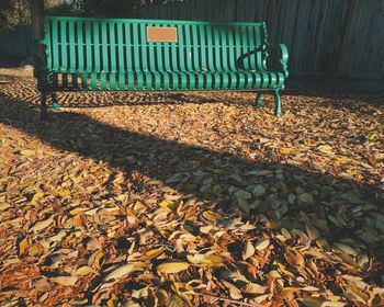 Empty bench in park during autumn