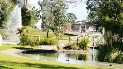 View of swimming pool by lake