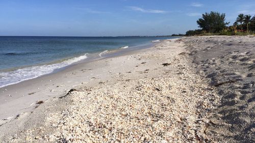 Scenic view of beach against sky