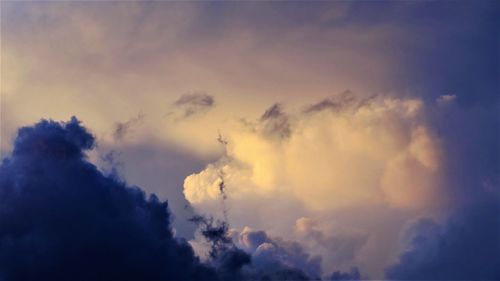 Low angle view of silhouette trees against sky