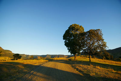 Scenic view of field against clear blue sky