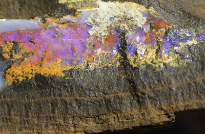 Close-up of multi colored water on rock
