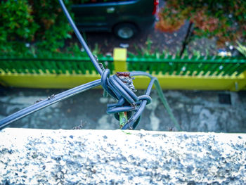 A black ant trail cable on the second floor 