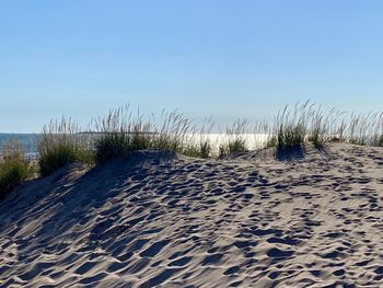 Scenic view of beach against clear blue sky