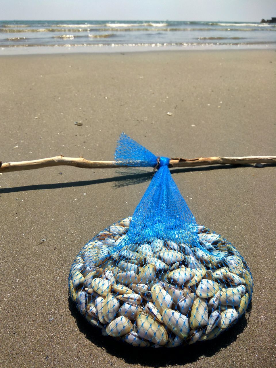 CLOSE-UP OF CRAB ON SHORE