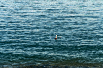 High angle view of woman swimming in sea