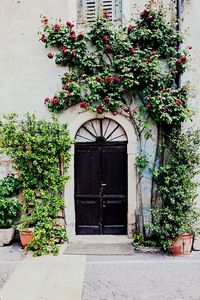 Closed door of house