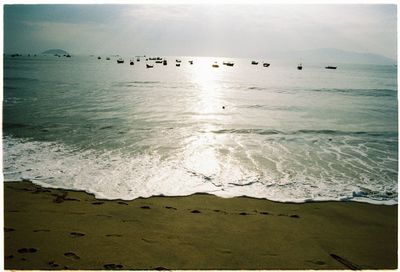 Birds on beach against sky