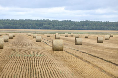 Hay bales on field against sky