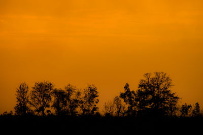 Silhouette trees on field against orange sky