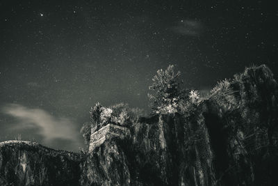 Low angle view of trees against star field at night