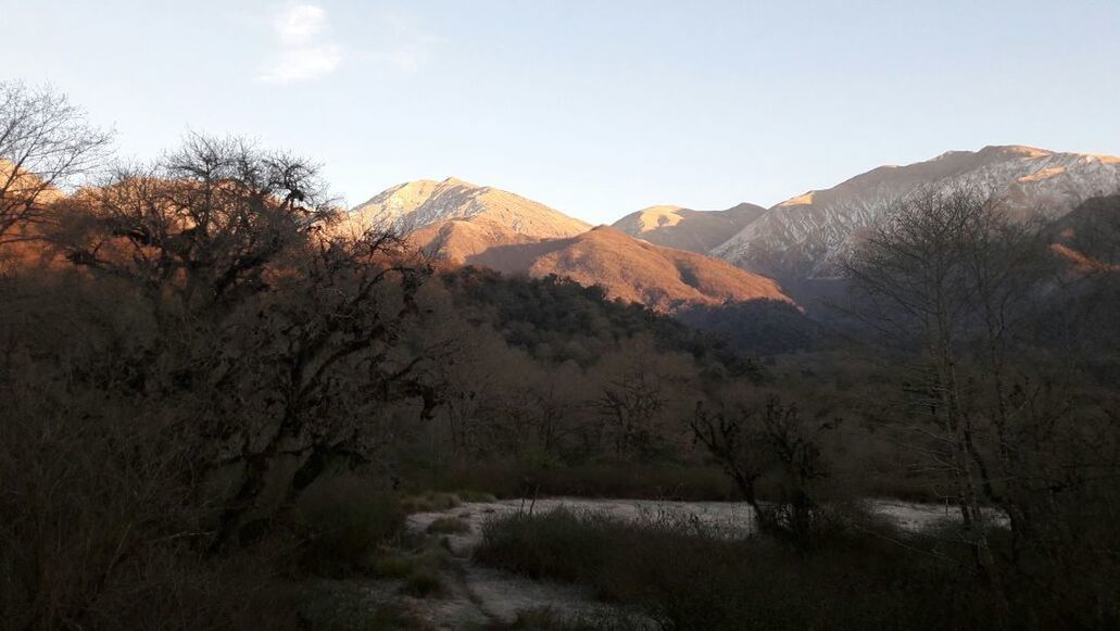 tree, mountain, nature, scenics, landscape, tranquility, beauty in nature, outdoors, day, mountain range, plant, no people, grass, sky