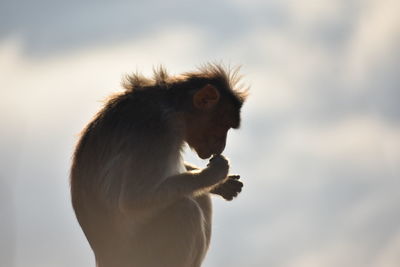 Side view of young woman eating outdoors