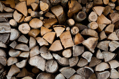 Logs of wood for the arrival of winter.