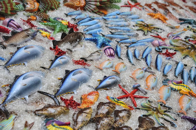 High angle view of multi colored candies on market