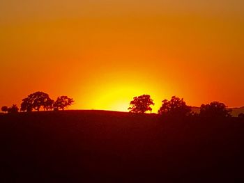 Silhouette trees on landscape against orange sky