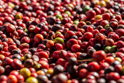 Full frame shot of fruits for sale in market