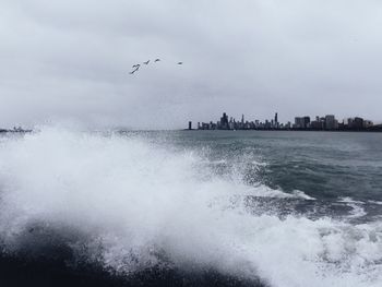 Birds flying over sea against sky