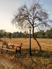 Bench in park against sky