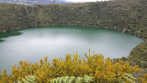 High angle view of tree by lake against sky