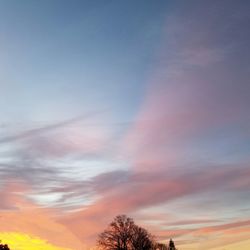 Low angle view of trees against sky