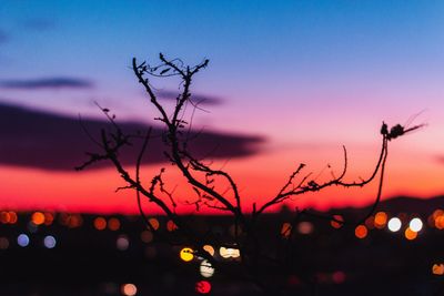 Defocused image of silhouette tree against sky during sunset