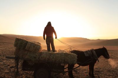 Man standing on horse cart against sky at sunset