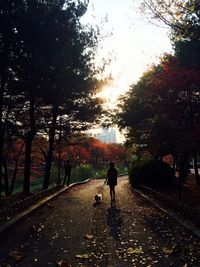 Rear view of silhouette man walking on road in autumn