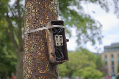 Disused electrical fuse box