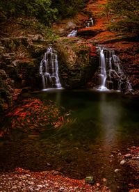 Scenic view of waterfall in forest