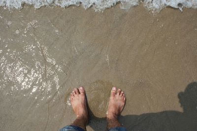 Low section of man standing on beach