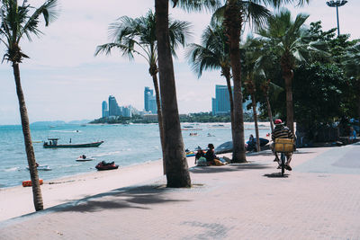 View of cityscape and sea against palm trees