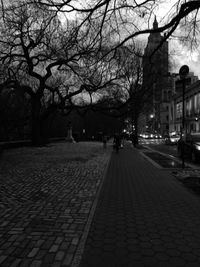 View of footpath along bare trees