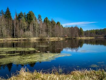 Scenic view of lake against blue sky