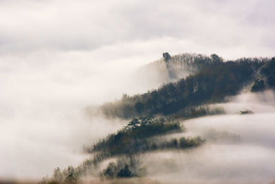 Scenic view of trees against sky during foggy weather