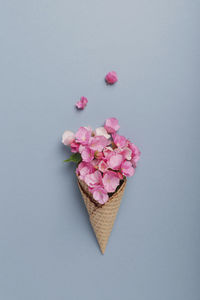 High angle view of pink roses against white background