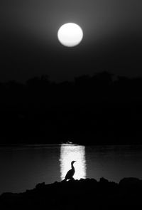 Silhouette of young woman standing on lake against sky during sunset