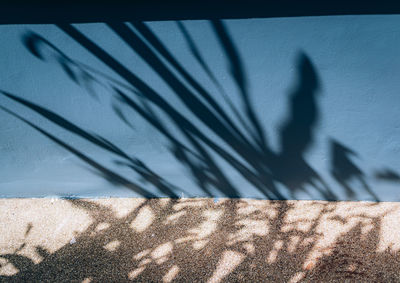 Shadow of person on wall