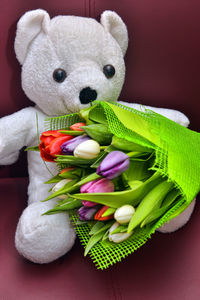 Close-up of stuffed toy over black background