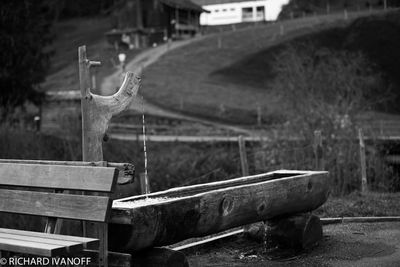 Close-up of bird against boat in water