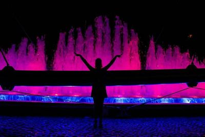 View of illuminated ferris wheel at night