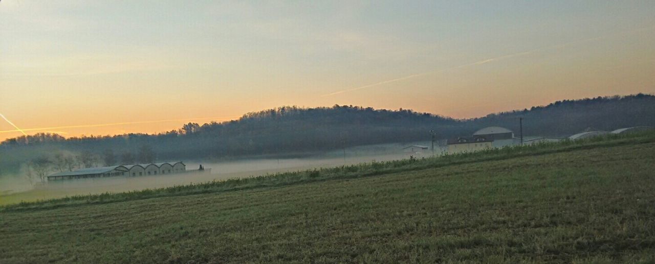 sunset, tranquil scene, landscape, scenics, tranquility, beauty in nature, field, nature, grass, sky, mountain, idyllic, orange color, rural scene, non-urban scene, tree, growth, outdoors, no people, countryside