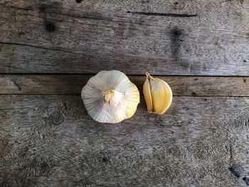 High angle view of garlic on table