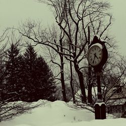 Snow covered landscape