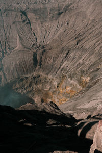 environment