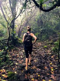 Rear view of mature woman with backpack walking in forest