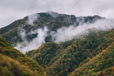 Scenic view of waterfall against sky