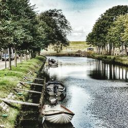 View of river with trees in background