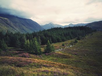 Scenic view of landscape against sky